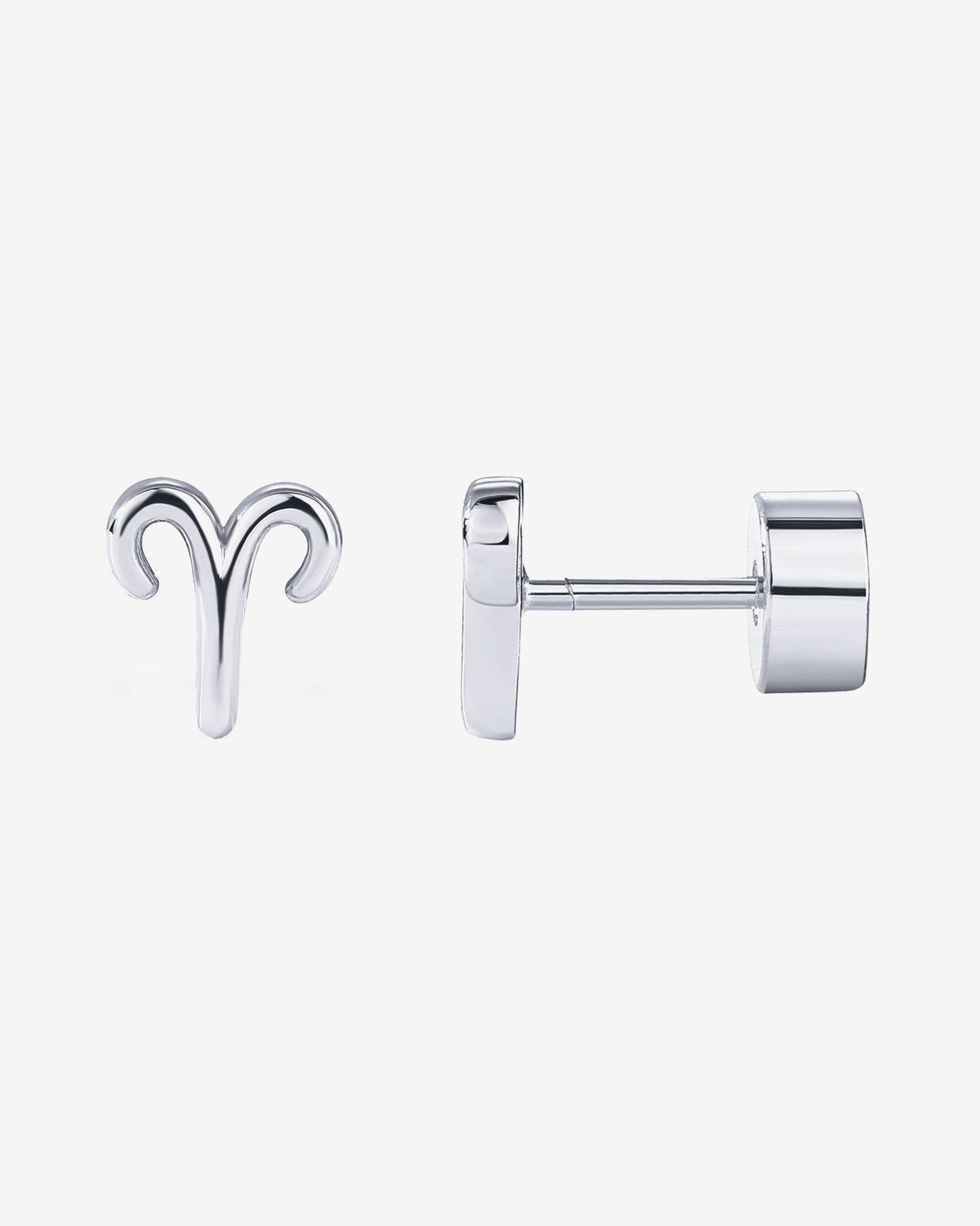 What's Your Sign Horoscope Earrings