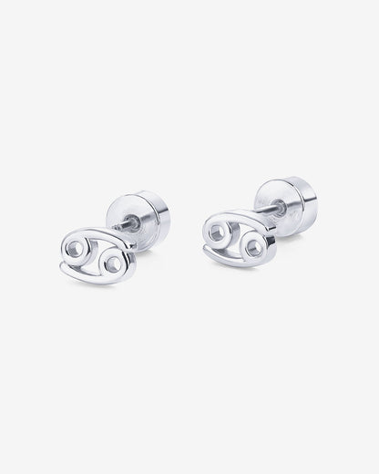 What's Your Sign Horoscope Earrings