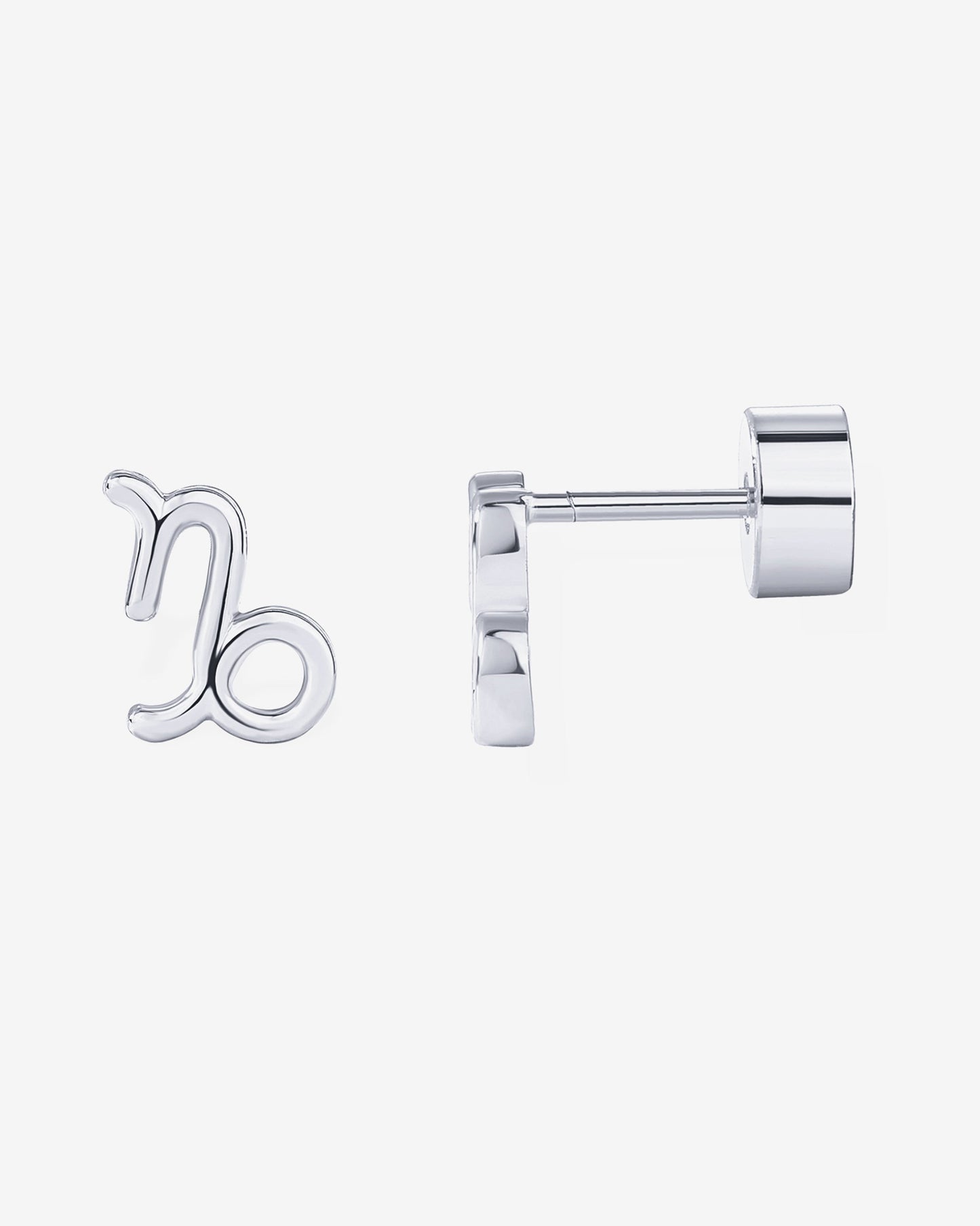 What's Your Sign Horoscope Earrings