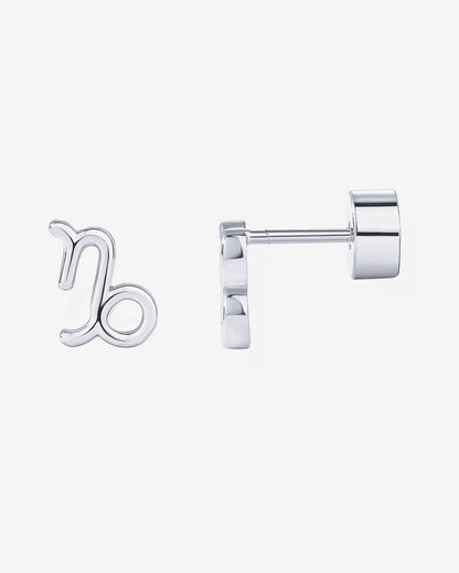 What's Your Sign Horoscope Earrings