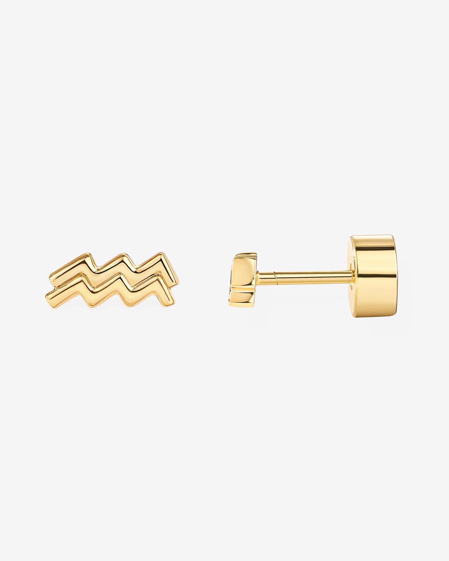 What's Your Sign Horoscope Earrings