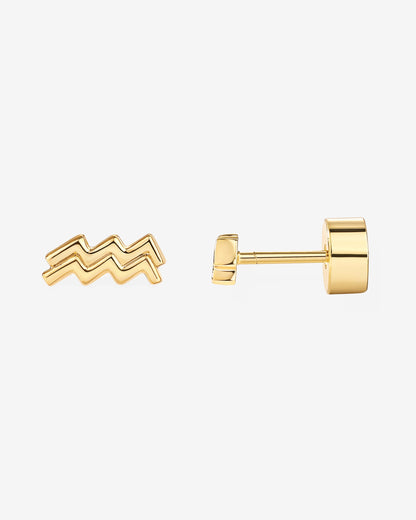 What's Your Sign Horoscope Earrings
