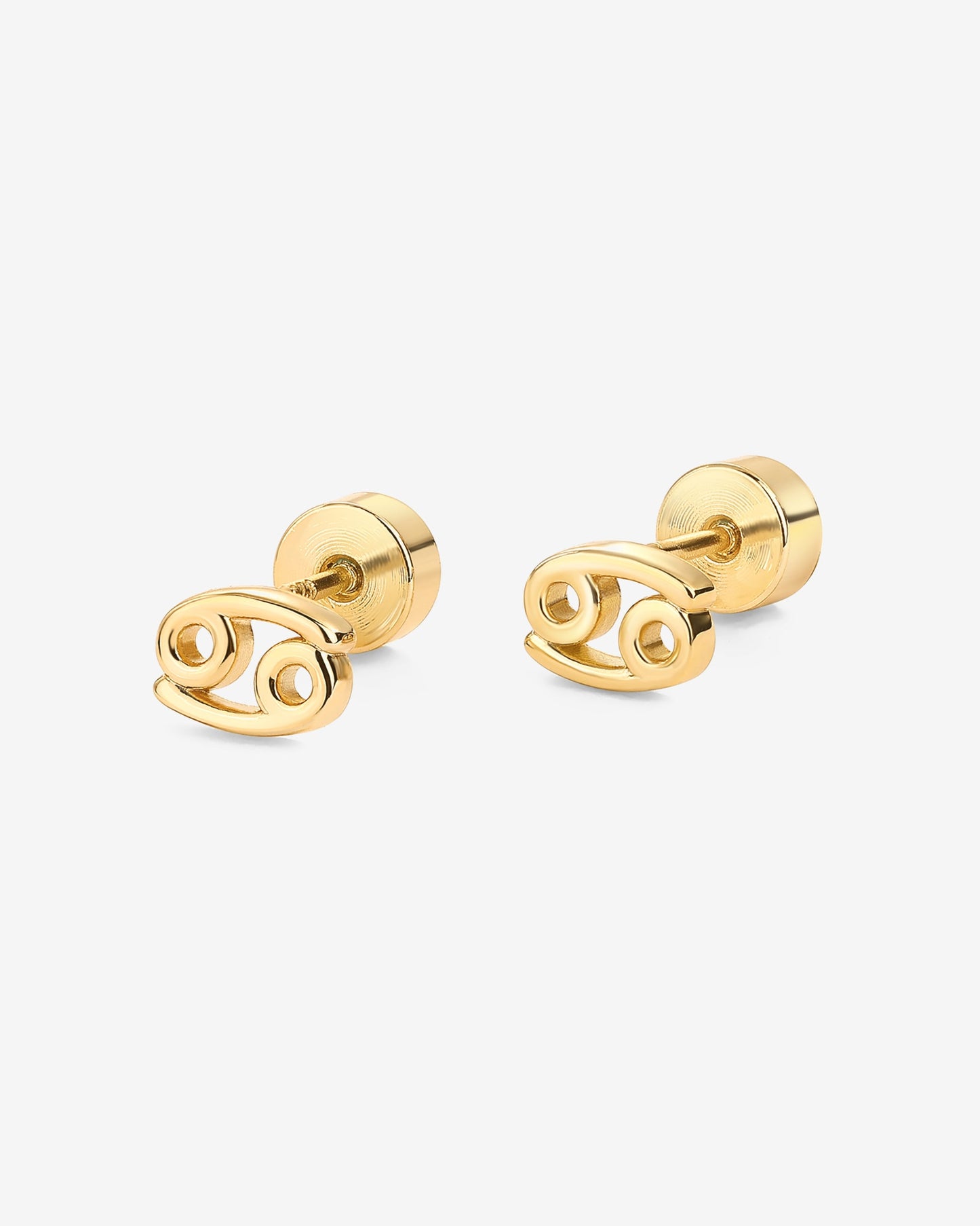 What's Your Sign Horoscope Earrings