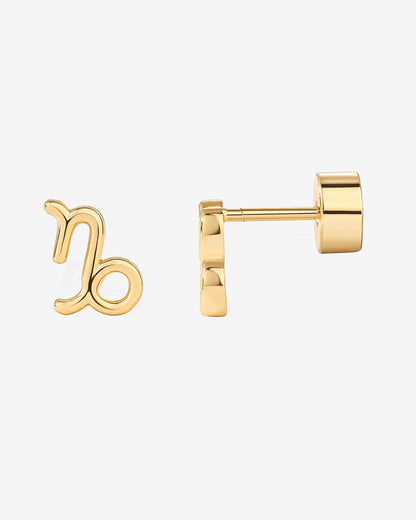 What's Your Sign Horoscope Earrings