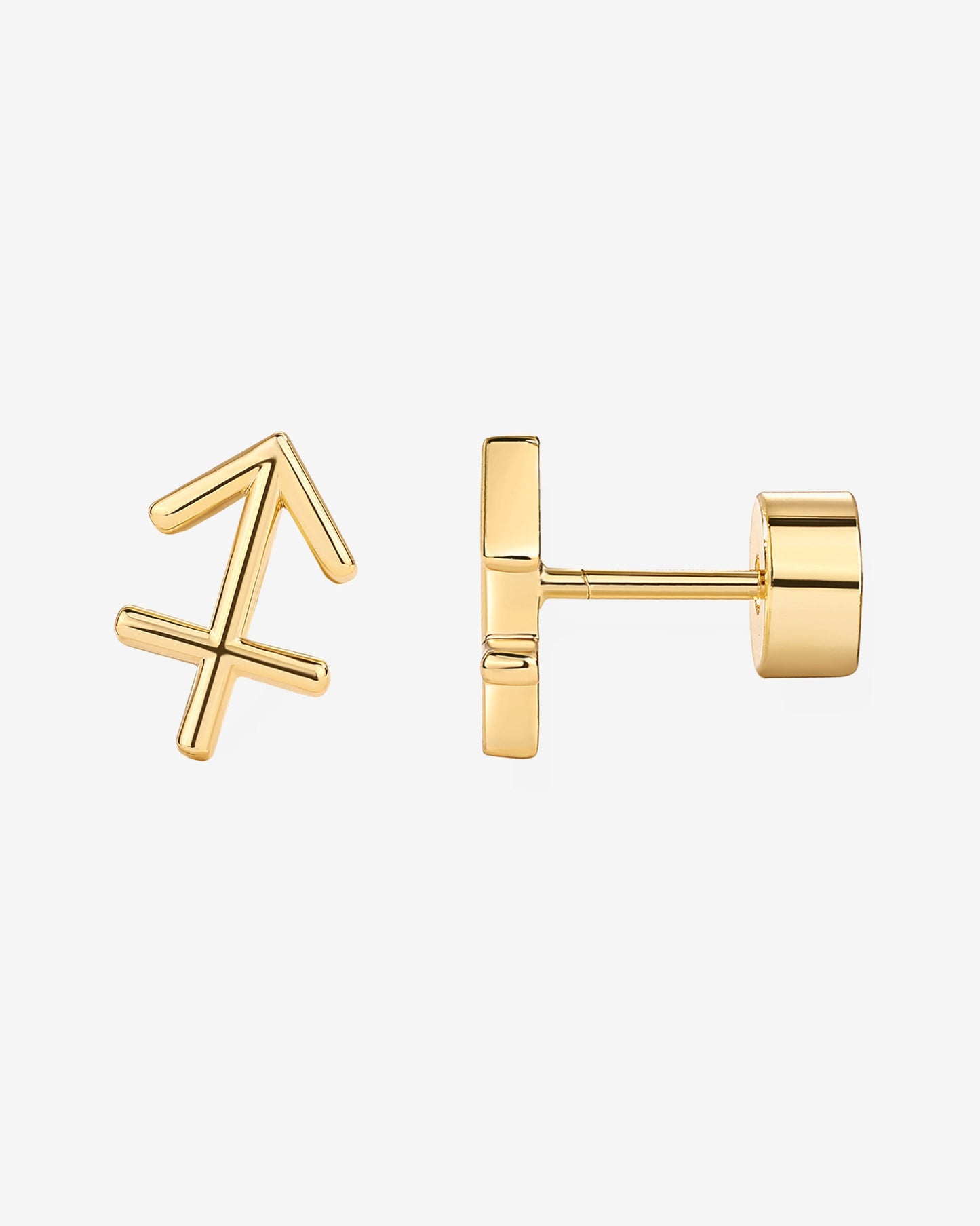What's Your Sign Horoscope Earrings