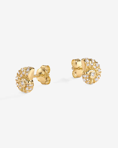 Nauti Shine Studs